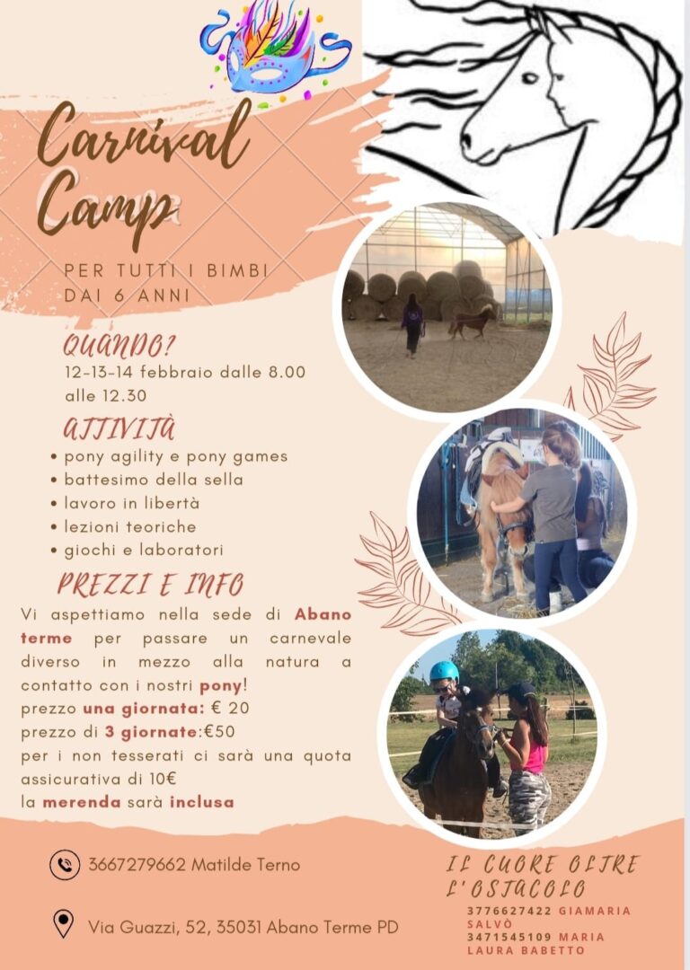 Carnival Camp Brochure